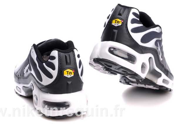 nike tn 2010 meilleurs populaires grise (3).JPG